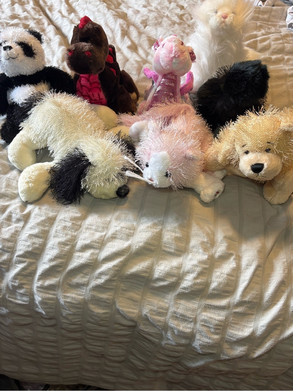 Webkinz lot, NO CODES